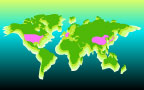 world trade