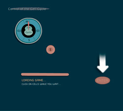 help - the control of the cell cycle game