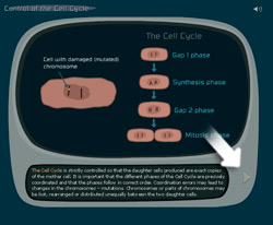 help - the control of the cell cycle game