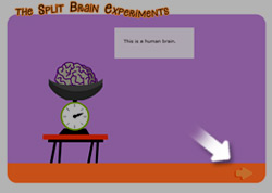 Help - the Split Brain Experiments Game