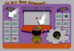 Help - the Split Brain Experiments Game