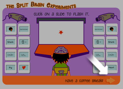 Help - the Split Brain Experiments Game