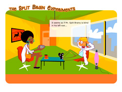 Help - the Split Brain Experiments Game