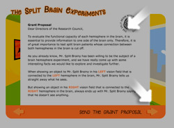 Help - the Split Brain Experiments Game
