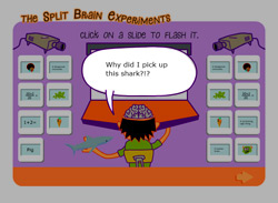 Help - the Split Brain Experiments Game