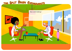 Help - the Split Brain Experiments Game